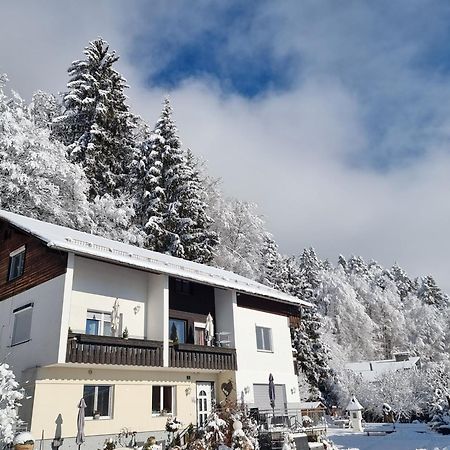 Ferienhaus Burgblick Treffen Kültér fotó