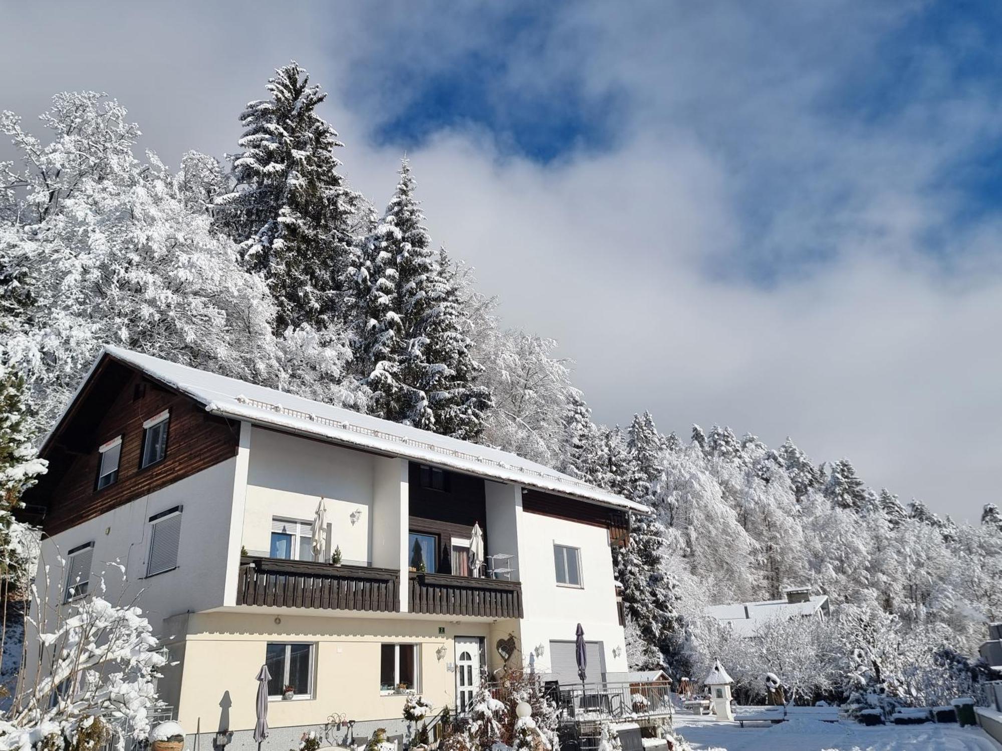 Ferienhaus Burgblick Treffen Kültér fotó